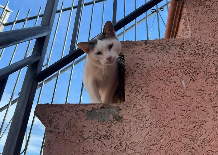 Casa Storica Di Alma Con Fantastica Vista Mare