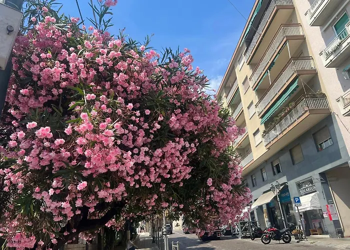 Casa Storica Di Alma Con Fantastica Vista Mare * Sanremo